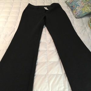 Express pants